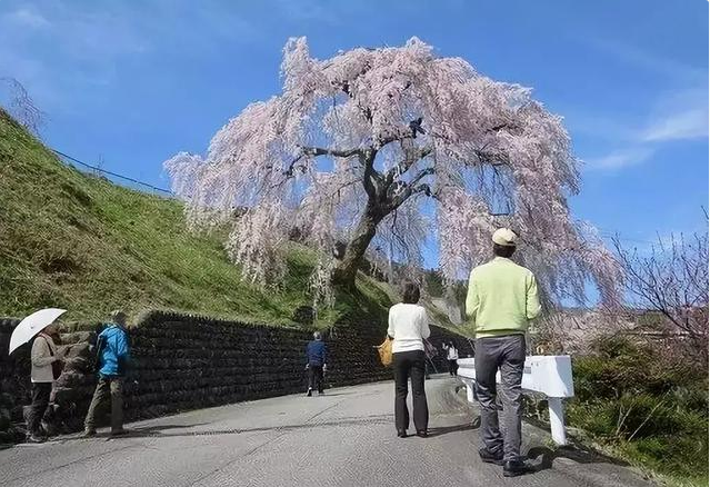 2019041215550562531604137988.png QQ截圖20190412160251.png